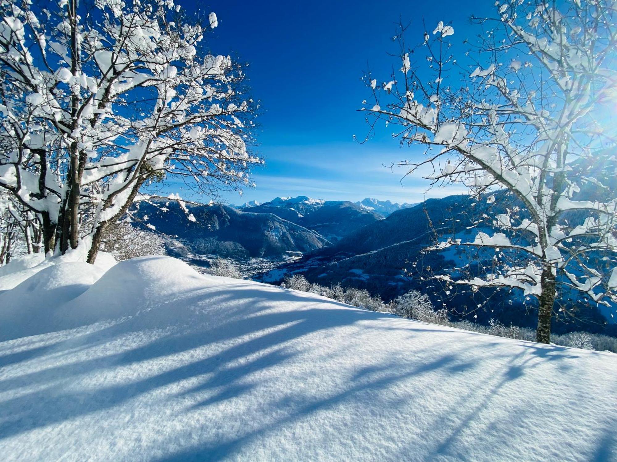Chalet Confidentiel Valmorel - Chalet De Haut De Gamme 4 Etoiles 12 Personnes Doucy エクステリア 写真